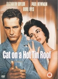 Cover: Cat On A Hot Tin Roof