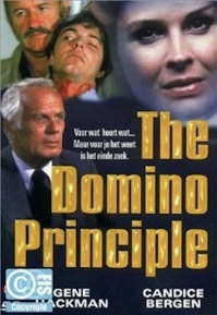 Cover: The Domino Principle